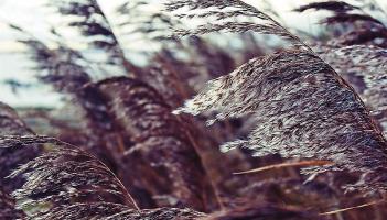 Louth Weather: Saturday will start out dry and breezy