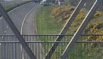 WATCH: Fuel protest causes disruption on M1 in Dundalk