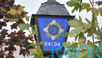 Initial report into fatal plane crash in Co Waterford due within 30 days