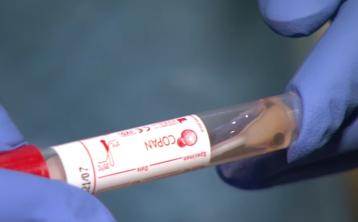 REVEALED: The top 5 Covid questions Googled in Dundalk in last two weeks