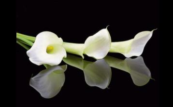 Deaths in Dundalk - Wednesday 25 March 2026