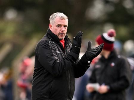 Devlin says "One result won't define" Louth