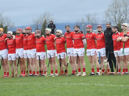 Louth undone by strong Donegal outfit in National Hurling League clash