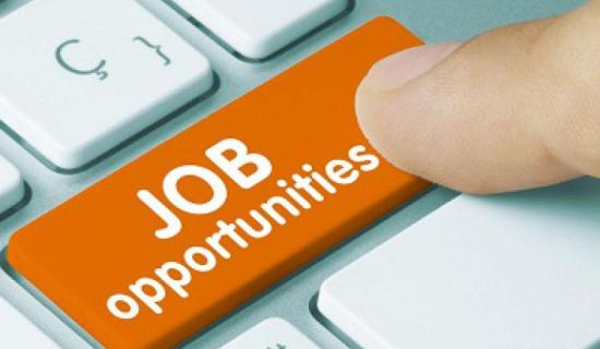 Job opportunities in Louth predicted to grow by 8% this year