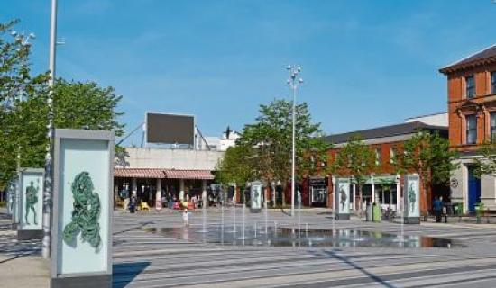 Dundalk Tidy Towns launch week-long spring clean