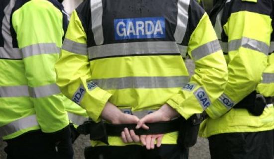 Garda&iacute; probe paint damage at north Louth property