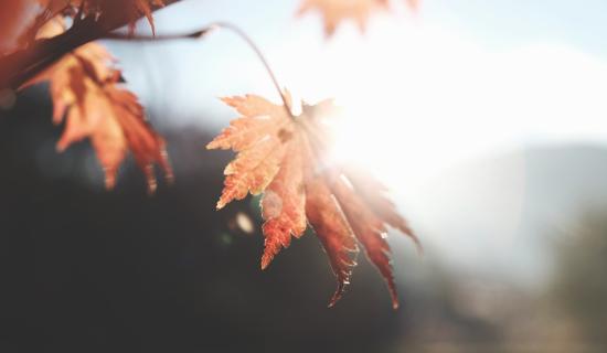 Louth Weather: Chilly start with some bright spells