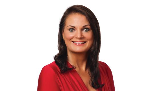 Council told of Drogheda's 'chicken and egg' conundrum