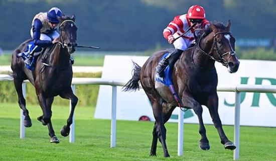 Inside Track: Frank&rsquo;s horse survives a bump on way to big Leopardstown win