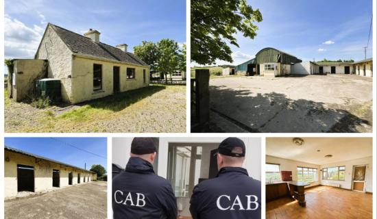 PICTURES: Farm with stables and sulky track seized by CAB fetches six-figure sum at auction