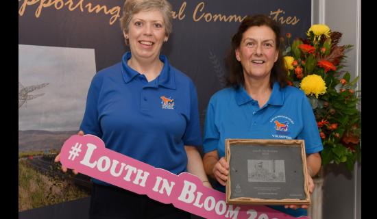 PHOTOS: Louth In Bloom Award winners