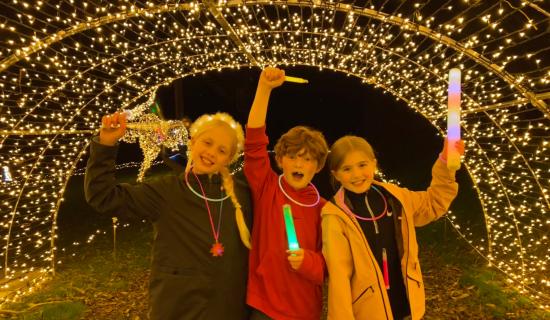 New Elf Post Office coming to Skypark&rsquo;s Adventure Lights in Carlingford