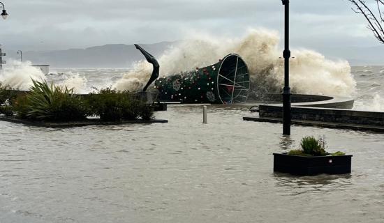Louth County Council's response to damage caused by Storm Bram