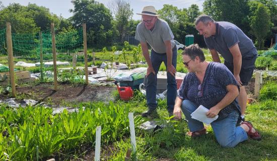 Muirhevnamor Community Gardens in Dundalk - more than just allotments