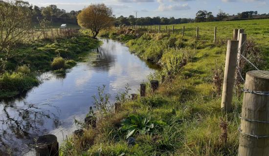 Louth rivers among beneficiaries of &pound;1m fisheries improvement programme
