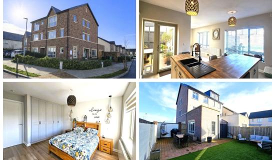 PICTURES: Take a peek inside this incredible 3-storey Louth home on sale for &euro;595,000