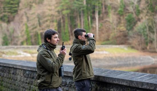 IFI launches new recruitment drive for seasonal posts in Louth