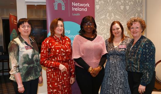 Network Ireland Louth empowers members with practical Lean & Six Sigma insights