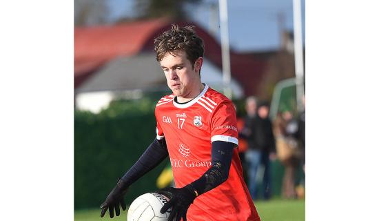 Louth GAA club | Paddy Sheelan Cup/Shield round-up
