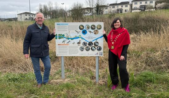 New Biodiversity Panels Installed Along the Boyne Greenway