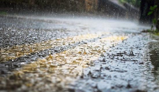 Louth Weather: Wet and breezy with widespread outbreaks of rain and drizzle