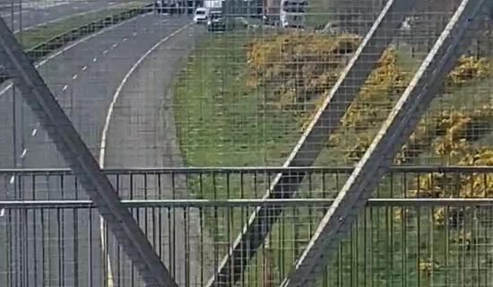 WATCH: Fuel protest causes disruption on M1 in Dundalk