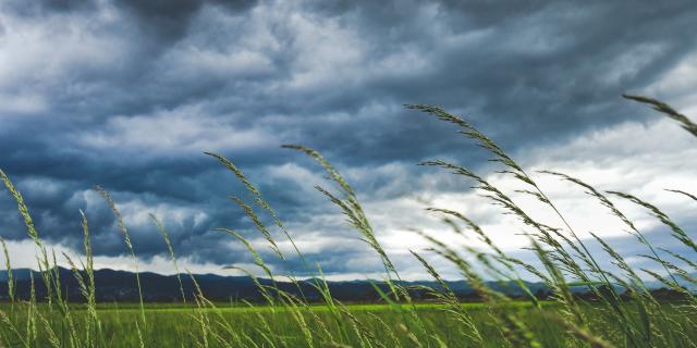 Louth Weather: Blustery day with a mix of sunny spells and scattered showers
