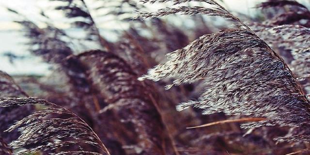 Louth Weather: Becoming breezy, though staying mostly dry