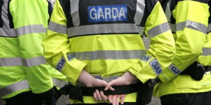 Garda&iacute; probe paint damage at north Louth property