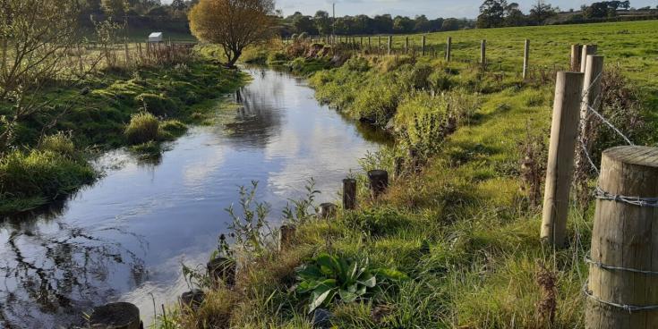 Louth rivers among beneficiaries of &pound;1m fisheries improvement programme