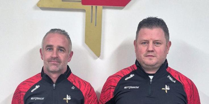 Murphy "very happy" with how Louth hurlers performed