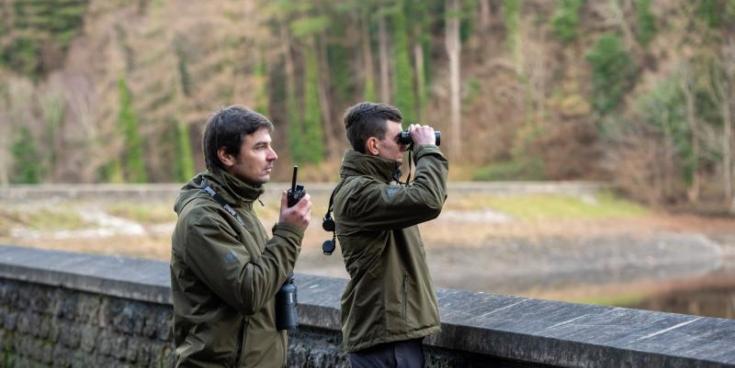 IFI launches new recruitment drive for seasonal posts in Louth