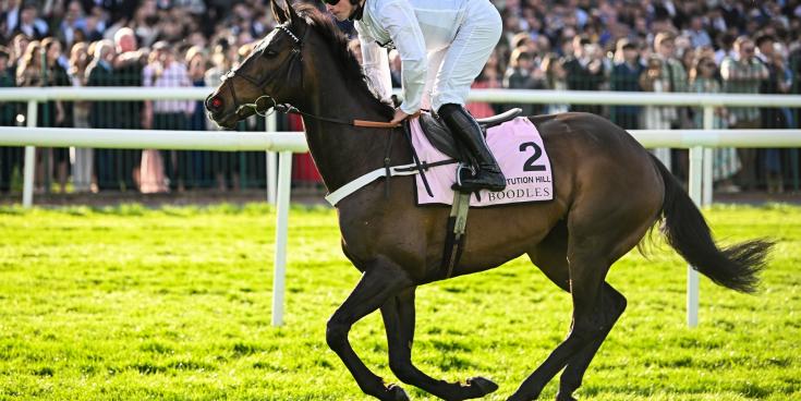 Inside Track: Henderson&rsquo;s horse may have lost his constitution for hurdling