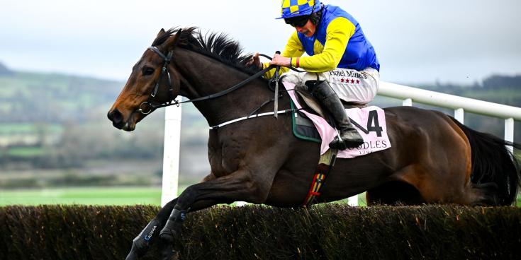 Inside Track: Oscar&rsquo;s Brother might answer the National question