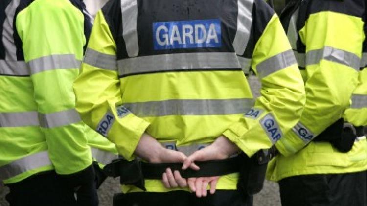 Garda&iacute; probe paint damage at north Louth property