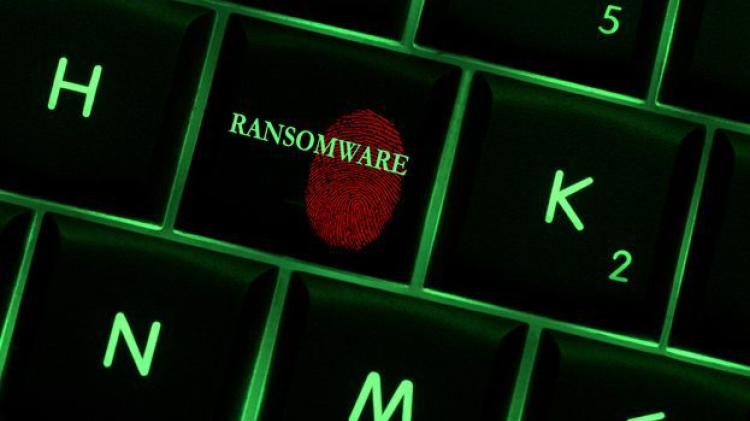 Louth councillors told they are 'prime targets for cyber criminals'