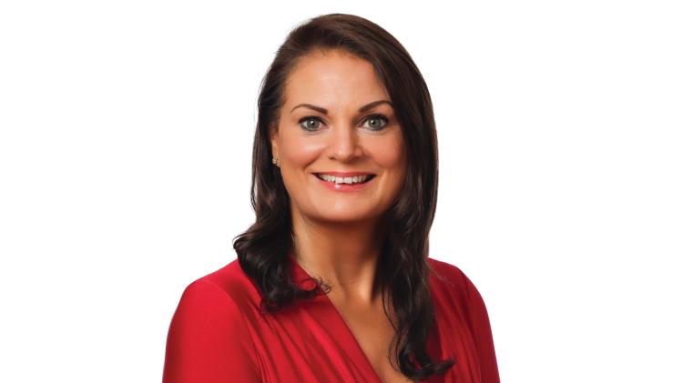 Council told of Drogheda's 'chicken and egg' conundrum