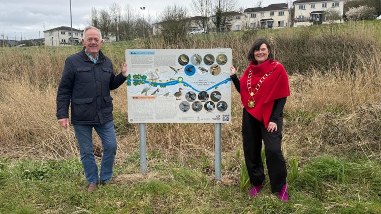 New Biodiversity Panels Installed Along the Boyne Greenway