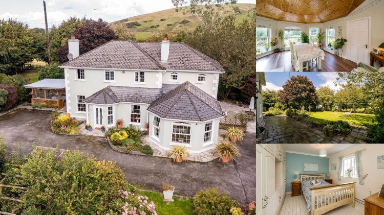 PICTURES: Take a peek inside this stunning six-bedroom Louth home on the market for &euro;630k