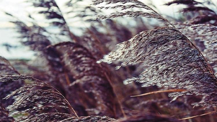 Louth Weather: Becoming breezy, though staying mostly dry