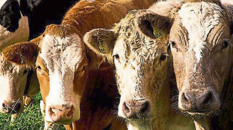 Louth TD calls for 'meaningful' dialogue to resolve Bord Bia dispute