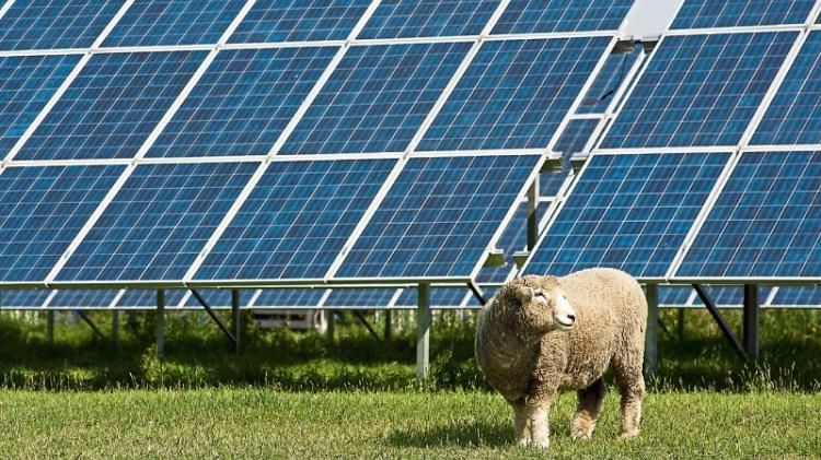 413 acre solar farm in Louth gets go ahead in spite of massive opposition