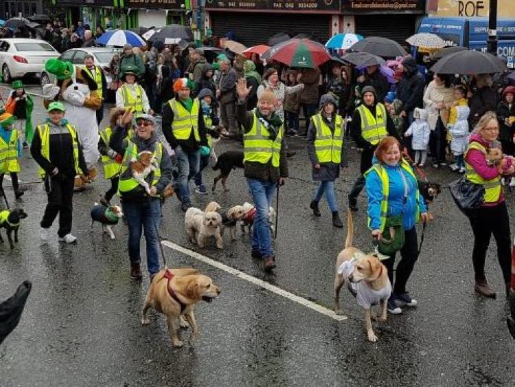 Dundalk Dog Rescue "We need the local community to step up and help us" Dundalk Democrat