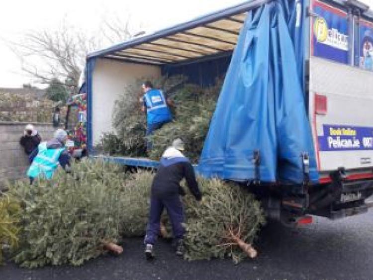 Here's how to dispose of your Christmas tree in Dundalk Dundalk Democrat