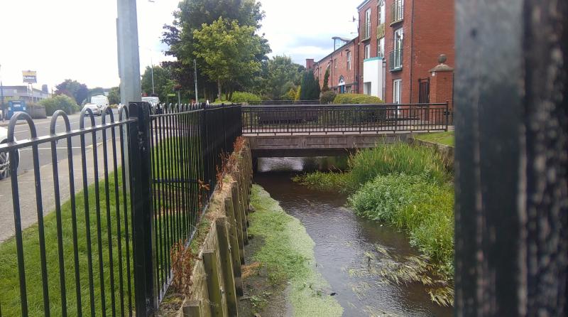 Worrying fish kill reported along Ramparts