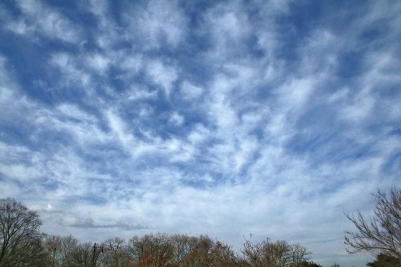 Sunday's weather forecast for Louth