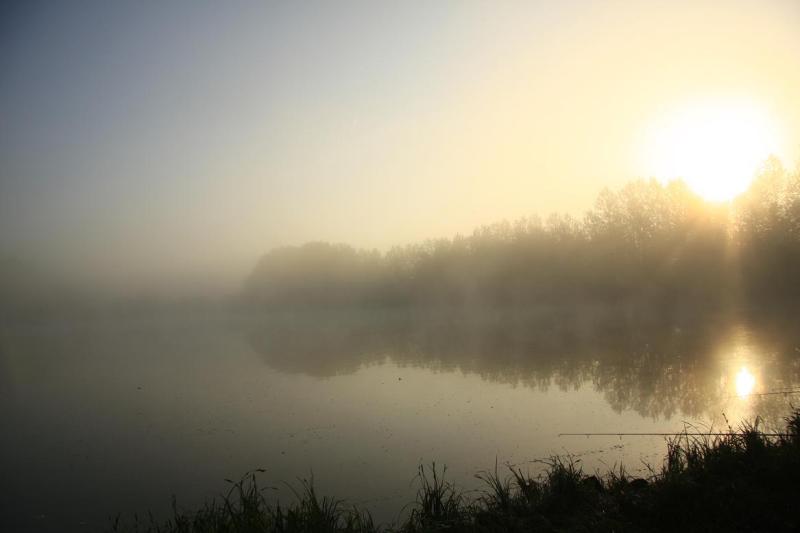 Louth Weather: Mostly cloudy and misty start to the day with just patchy light rain