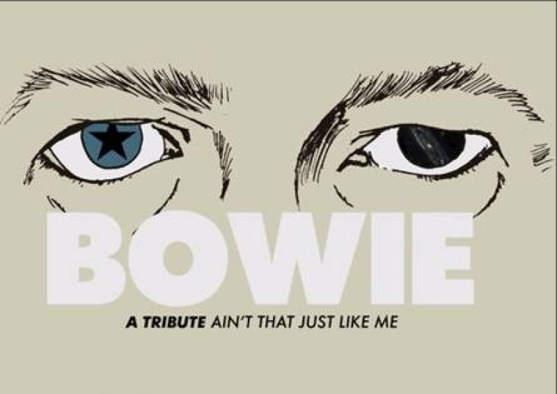 Louth musicians lead Bowie tribute