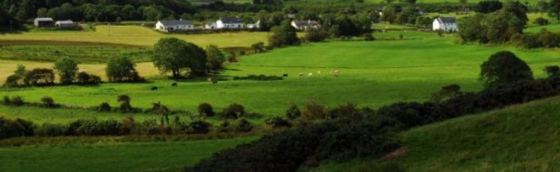 Land prices continue to rise in Louth as demand stays strong
