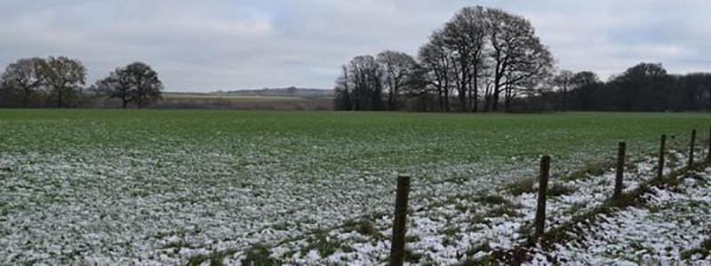 Tuesday's weather forecast for Louth 
